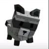 sigma_racoon_