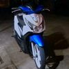 owner_bluewhite2