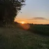 izzyytilby