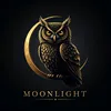 kaynmoonlight