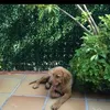 franciscogarciaca48