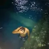 naughybutnice