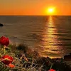 ❤️❤️ پاشای خه مه کان ❤️❤️