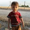 faraydunali146
