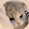 ltxw2