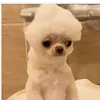 simonetoclips