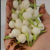 fofo_6089