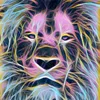LigerLyrics