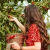 israa_ib2