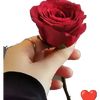 user5303477612373