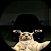 eu.caiolopes