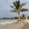wafa203_