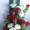 chahrazadeasmae