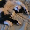randyb0465