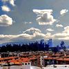 pedrovelasques392