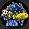 cichlids_australia