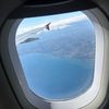 eagles_flyinghigh