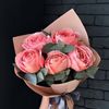shahd_737