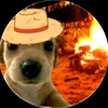 ax7_semcabelo