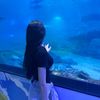 han_quoc_mau_hong06