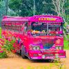 modifiedbusofficial