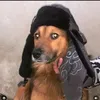 malfinhozz