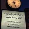 rasha94195