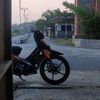 boyolalaboy