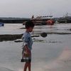 dalfan3