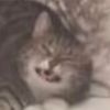 cliff_burtons_e_string
