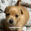 name_unknown_16