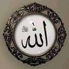 naveedanjum5712