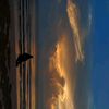 netherlands_1207