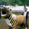 rsmapping