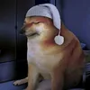 alex_original_video