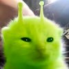 diiyazww_