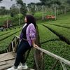 tinah7763