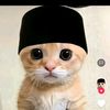 a_irfanhakim87