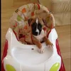 ilove_mydog_mybird