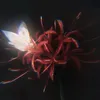 ._xx4everxx_