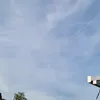 verderberd
