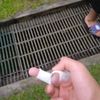 earth_worm2