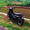 katok_gank