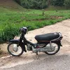 dung4746
