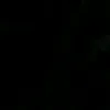 bssbdbdbbf