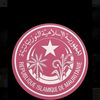 mamewedad2