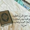 user4223308350241