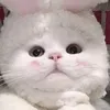 duongminhtuan111