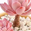 manh.huynh1idol_giaoluu