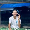 bintangrmd_